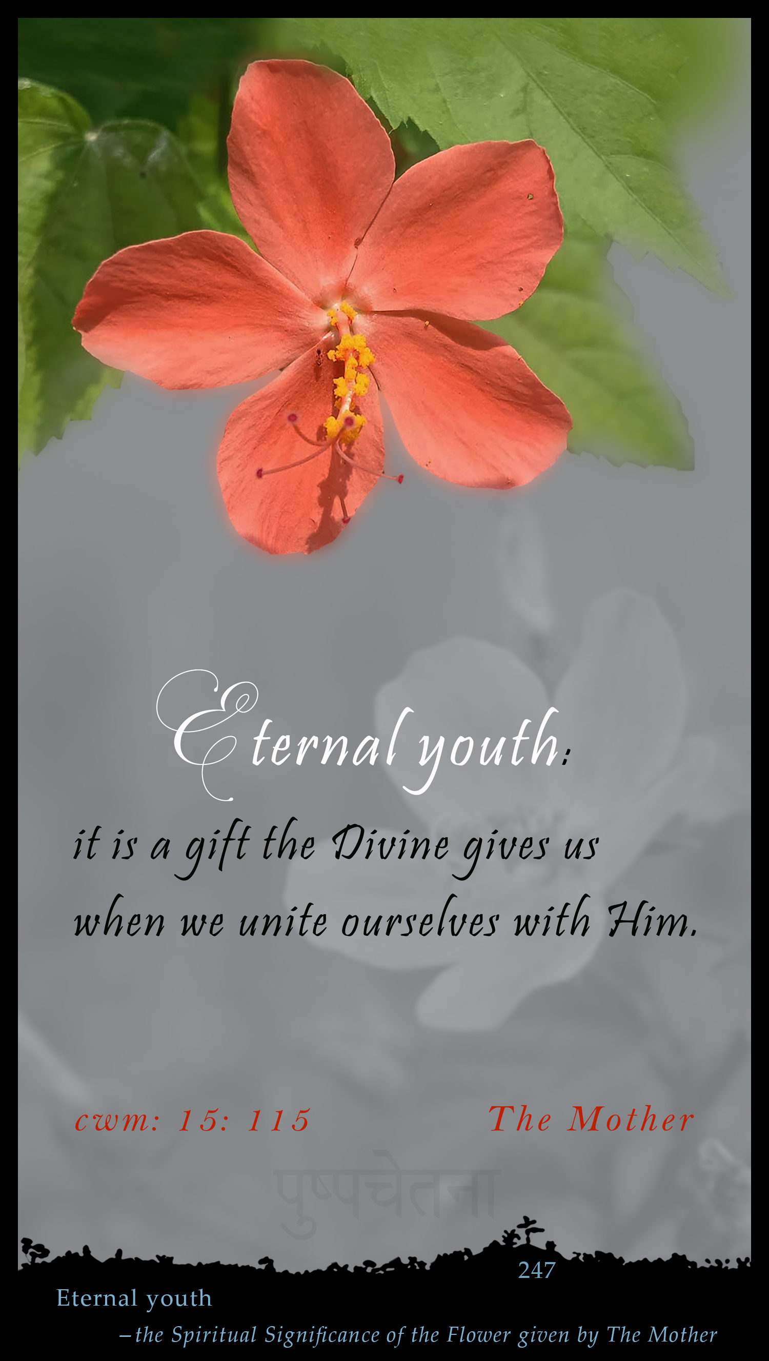 Eternal Youth